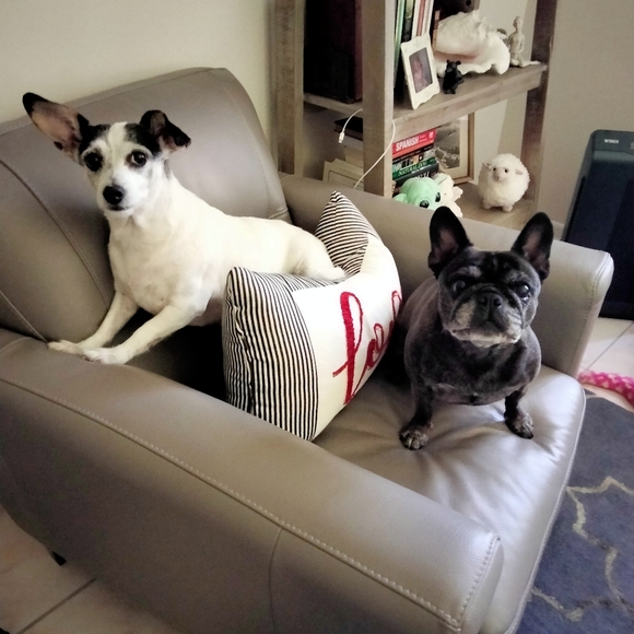 Meet your Posher, Ewa - Picture 4 of 16